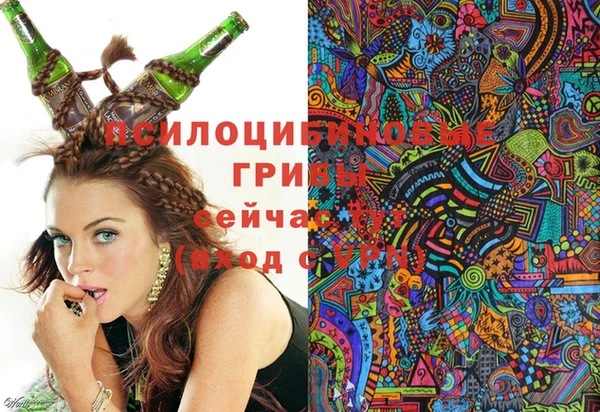 прущая мука Корсаков