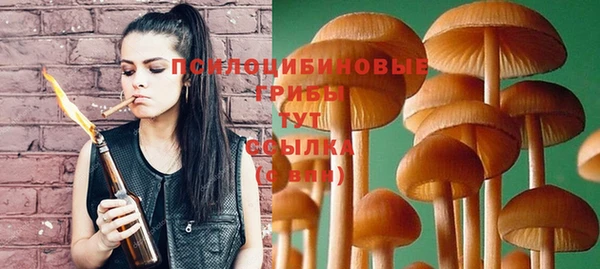 прущая мука Корсаков