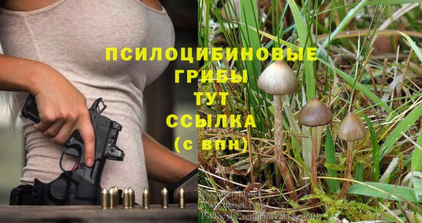 тгк Козельск