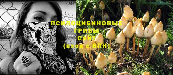2c-b Кодинск